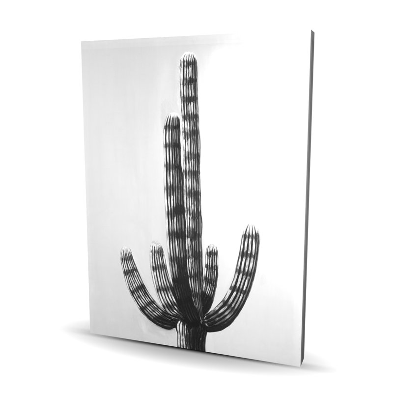 Cactus, toile botanique | Art mural floral