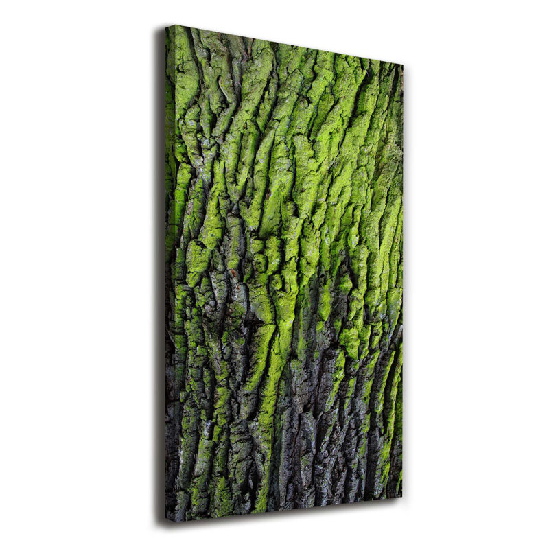 Tree Bark - Wrapped Canvas Print