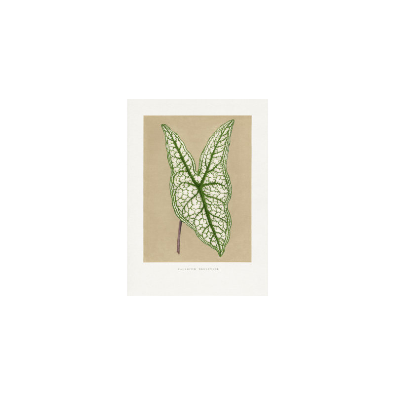 Wrapped Canvas Print, 91.44 cm H x 60.96 cm W