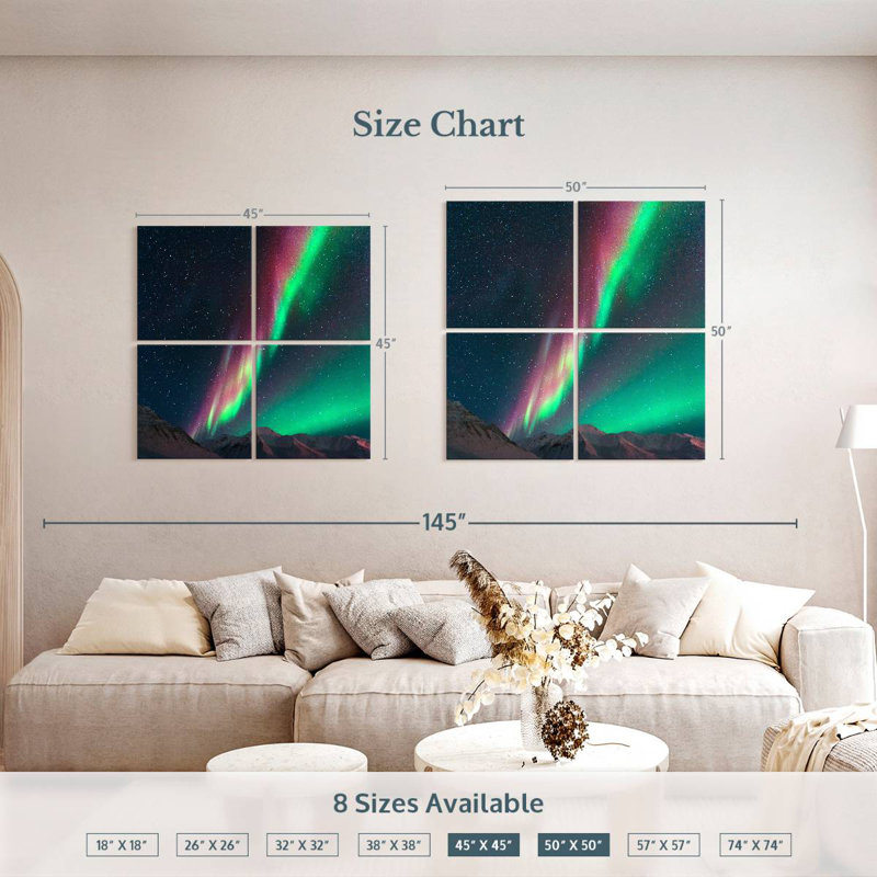 Alvord Atigun Pass Northern Lights, H 50 po x l 50 po