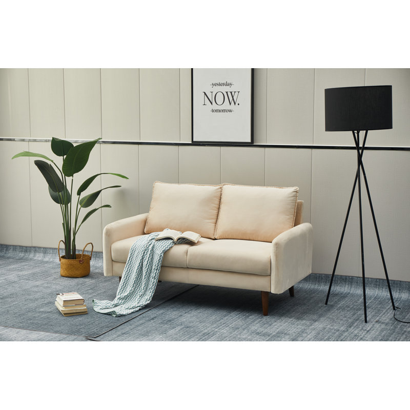 Emteas 57.3'' Velvet Loveseat, Beige Velvet