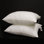 Oreiller moyen en microfibre et polyester