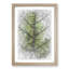 Leaf Lines in Abstract - Picture Frame Graphic Art Print-55777958-55777959