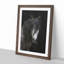 Face of a Horse - Framed Print-62802868-62802872