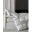 Cardigan Goose Down Comforter-36094081-36094083
