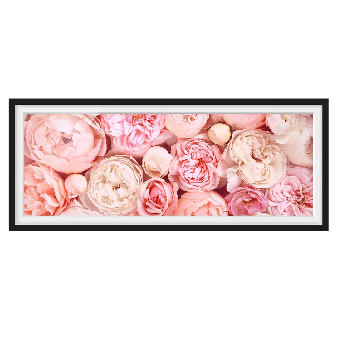 Gerahmter Grafikdruck Roses Coral Shabby