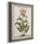 «Munting Botanicals I», reproduction d'art sur toile-1479137279