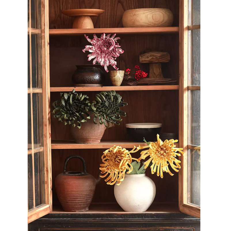 Tige de chrysanthème araignée ancienne – 29,9 po, Or antique, [C] Cinq tiges
