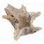 Nantucket Wood Decorative Bowl
