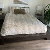 Latitude Run® Jacoury Bed & Reviews | Wayfair