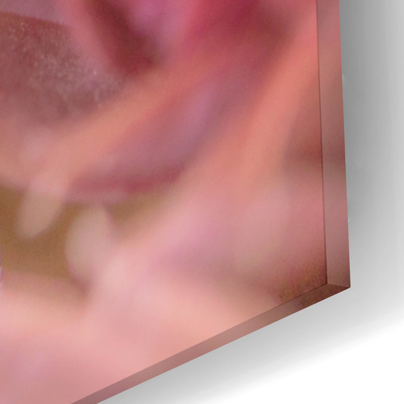«Succulents 04» par Lightbox Journal, H 12 po x l 12 po x P 0,13 po