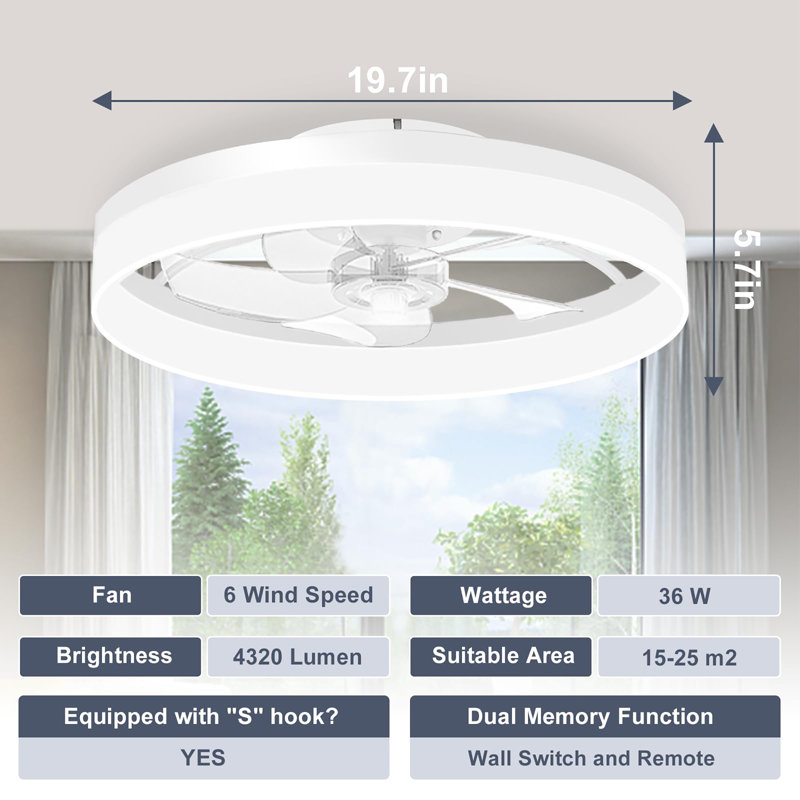 19.7 inch Small Ceiling Fans with Lights and Remote, White, White