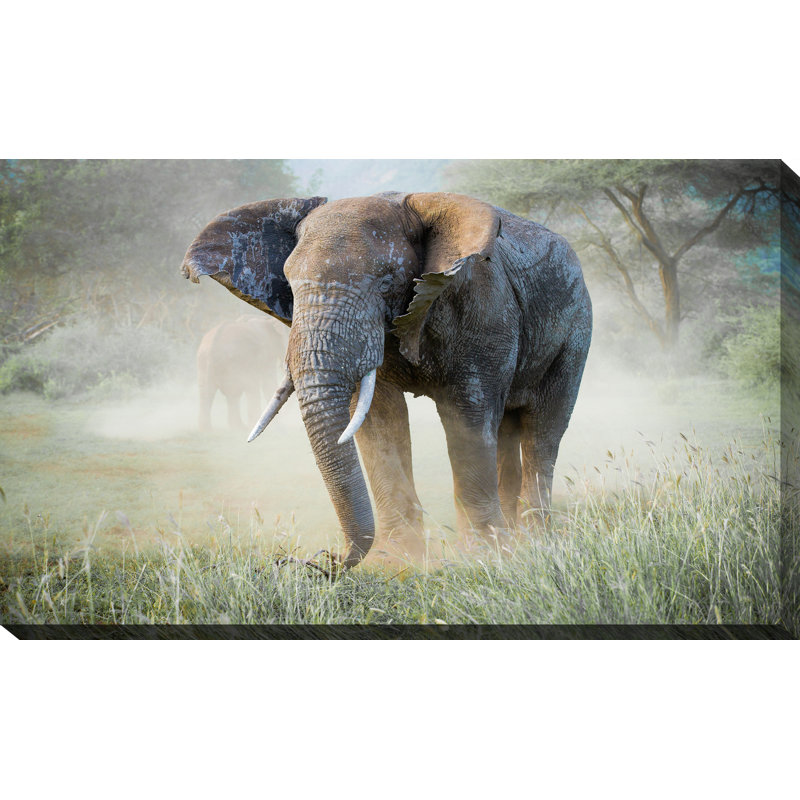 « éléphant », reproduction de photo sur toile tendue, H 36 po x l 60 po x p 1,5 po
