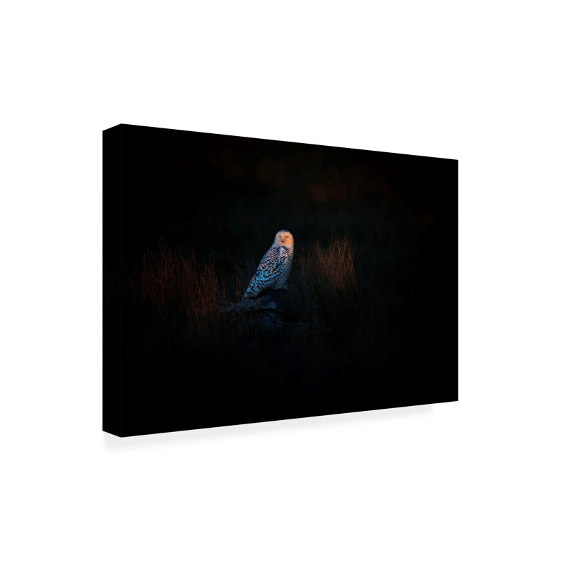 Art sur toile «Bachelor Phillip Chang the Watcher», H 16 po x l 24 po