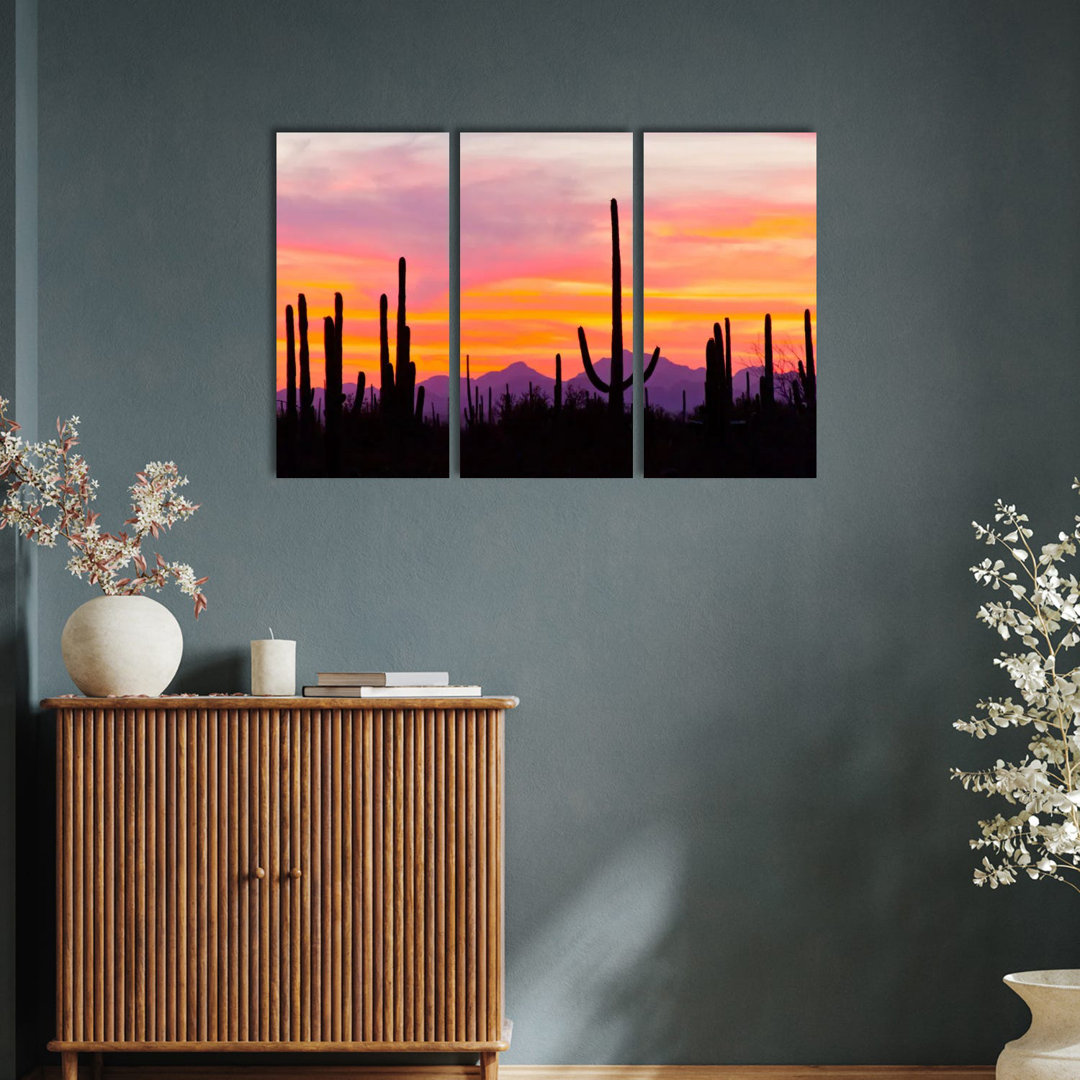 Saguaro Cacti At Sunset I, Saguaro National Park, Sonoran Desert, Arizona, USA von Cathy & Gordon Illg - No Frame Galler...