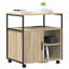Storage Cabinet-1984504643