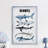 Assorted Sharks Print on Wrapped Canvas-443998063