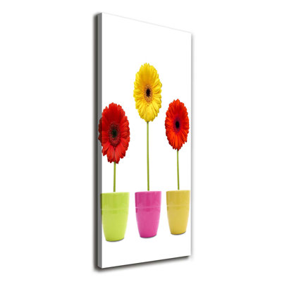 Colourful Gerberas - Wrapped Canvas Print