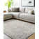 Dreniyah Machine Woven Rug
