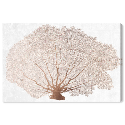 " Copper Coral Fan "