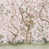 Blush selected