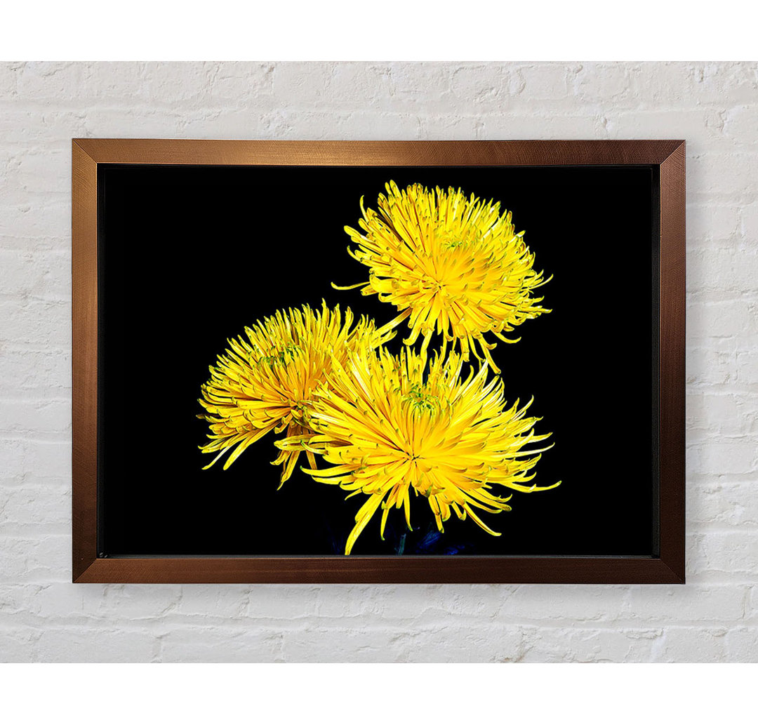 Dandelion Delight - Druck