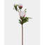 Soft Yellow Peony 19"-268507330