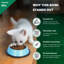 Bol pour animaux de compagnie antidérapant-44765031-44765040