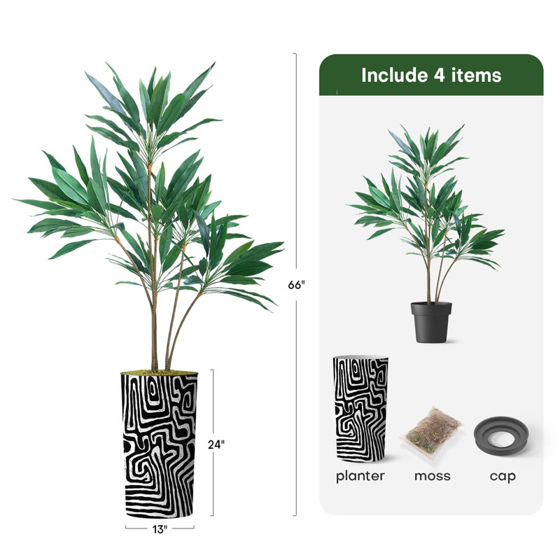66 plantes, Tourbillon noir