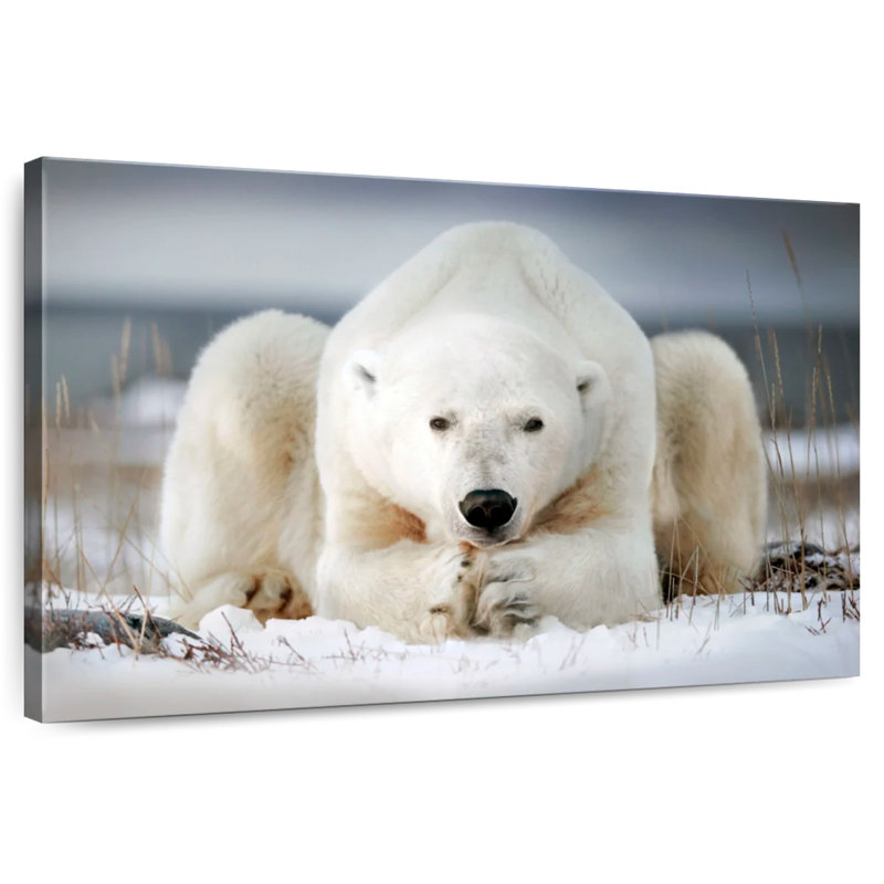 Yoga Polar Bear, 30" H x 45" W