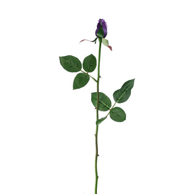 Rose Arrangement