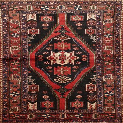 Oriental Indoor Rug
