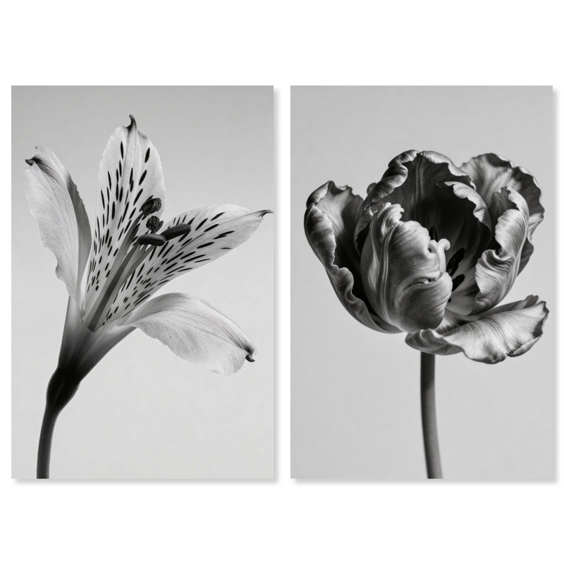 Peeking Flowers Set Set by Oliver Gal, 54" H x 36" W, Gallery Wrapped