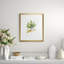 Antique Sassafras Print by Sprague