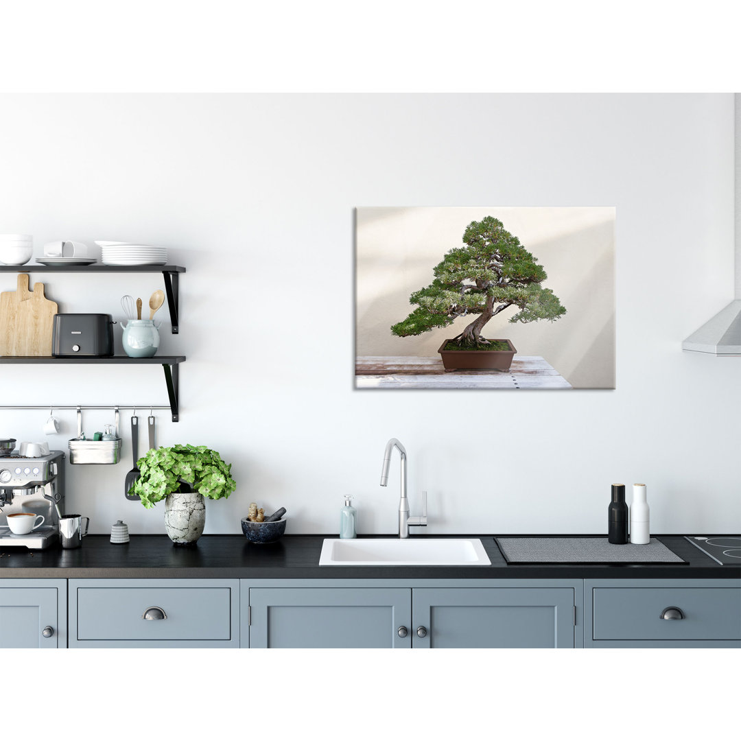 Glasbild Bonsai Baum