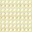 Dryon Cane Side Chair-2120687978