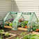 Greenhouse