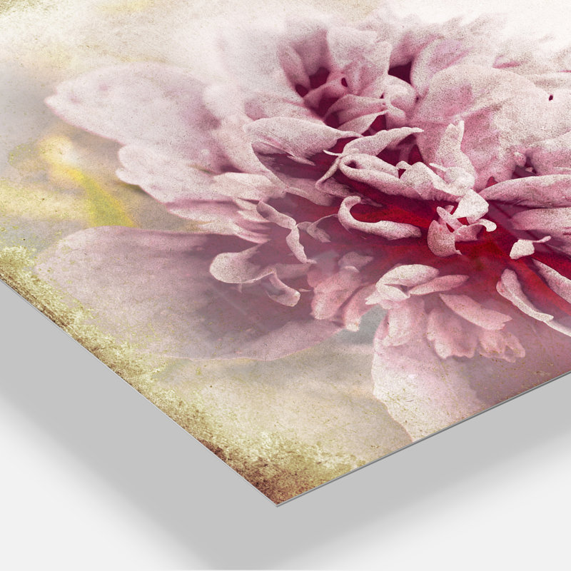 Pivoine rose dans un style rétro - impression sans cadre sur métal, H 20 po x l 12 po
