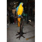 Single Parrot on a tree - Bronze Statue -  Size: 30"L x 24"W x 66"H. 