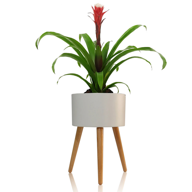 Wood Plant Pot
