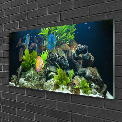 Fish Stones Leaves Nature - Unframed Photograph on Glass