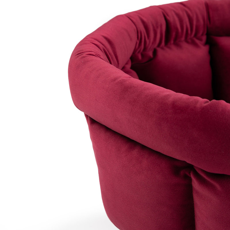 Beignet Cuddle Cup Pet, Vin