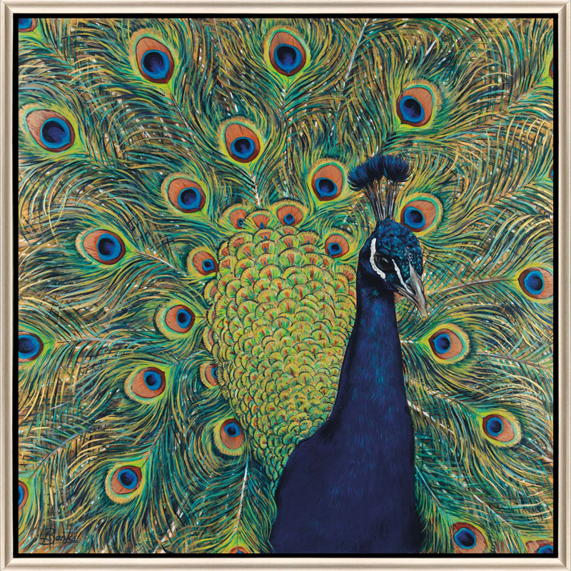 Peacock Plumage Canvas