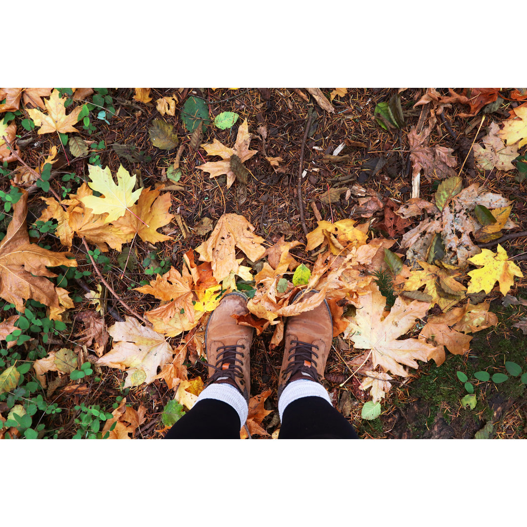 Autumn Leaves von EmilyNorton - Kunstdrucke auf Leinwand ohne Rahmen