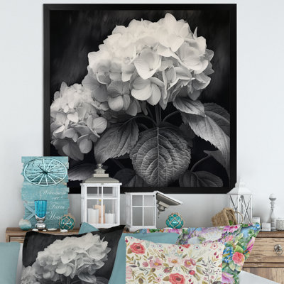 Hortensia gris et blanc II - imprimé