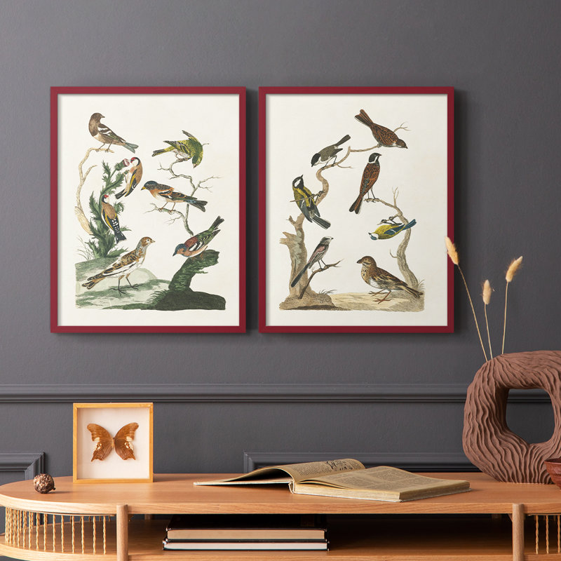 Oiseaux antiques dans la nature, impression encadrée de qualité supérieure - prête à être accrochée - aucun clou requis - aucun clou requis