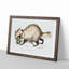 Racoon-Faced Dog by John Edward Gray - Picture Frame Painting Print-55765410-55765412