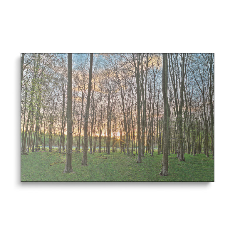 Impression sur toile, "Ste Sunset" par Assaf Frank