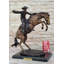 Sculpture Nerlan Bronco Buster