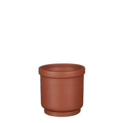Privet Pot Planter